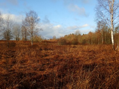 PB1200860.jpg (528.01 КБ) 4709 просмотров PB1200860.jpg