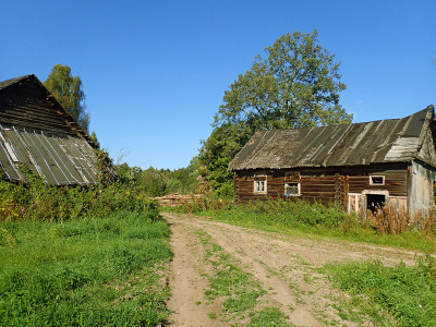 P91002810.jpg