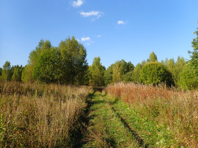 P91003540.jpg