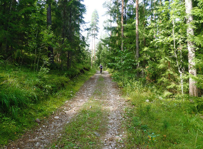 P81501550.jpg