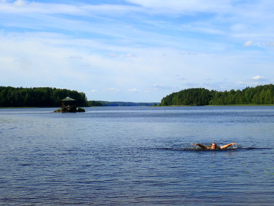 P81502130.jpg
