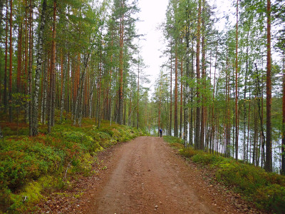 P90500310.jpg