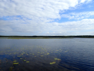 P90502230.jpg