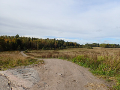 P92601870.jpg