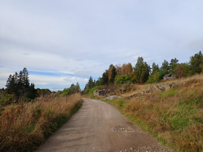 P92602010.jpg