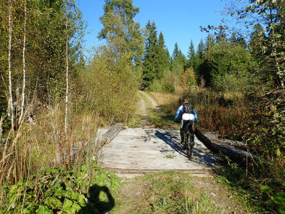P92602680.jpg