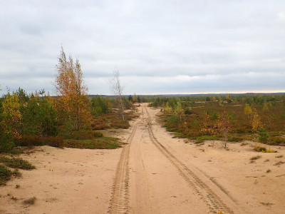 PA0600500.jpg