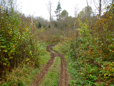 PA0601310.jpg