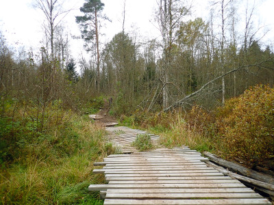 PA0601320.jpg
