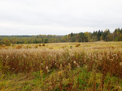 PA0601480.jpg