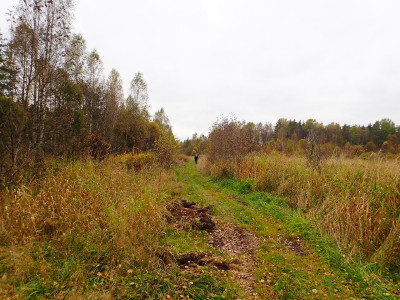 PA0601720.jpg