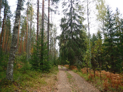 PA0602120.jpg