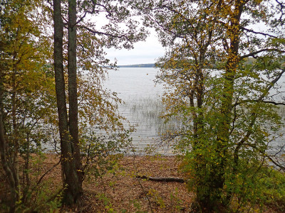 PA0602170.jpg