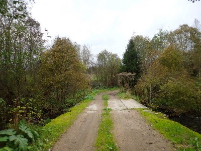 PA0603140.jpg