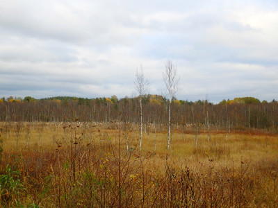 PA0603510.jpg