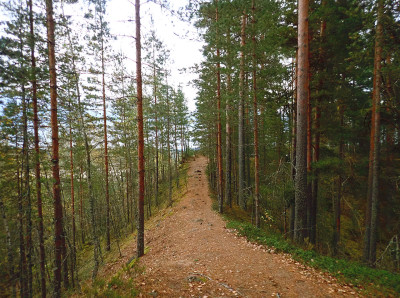 PA0603760.jpg