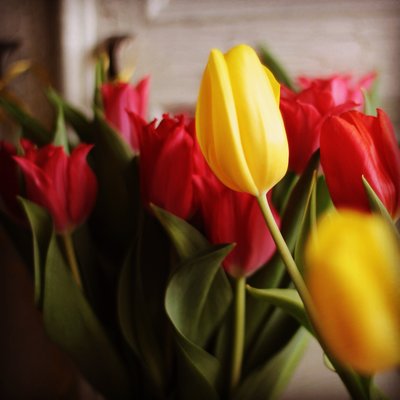 image.jpeg (286.79 КБ) 116597 просмотров И я и я нас поздравляю)) веселых подружек))