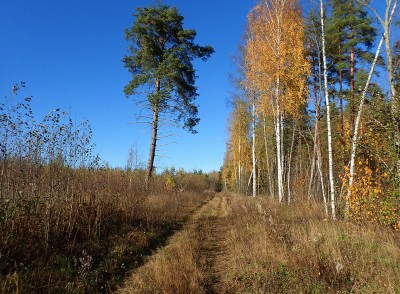 PA1104270.jpg