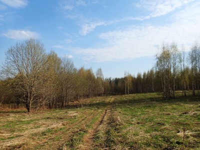 P42503080.jpg (471.93 КБ) 15211 просмотров P42503080.jpg