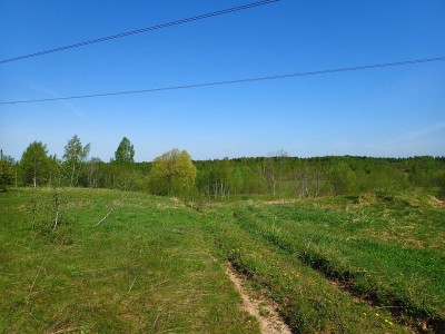 P51600200.jpg