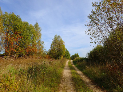 P91800660.jpg