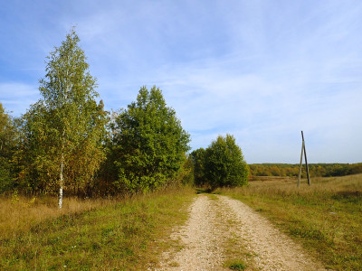 P91800670.jpg