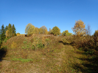 P93000280.jpg