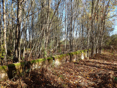 P93000340.jpg