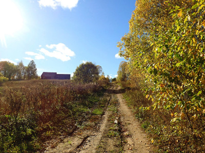 P93001960.jpg