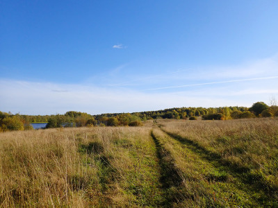 P93002650.jpg