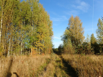 P93003130.jpg