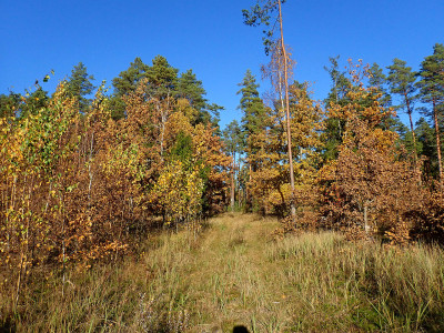 PA1202160.jpg
