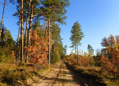 PA1202190.jpg