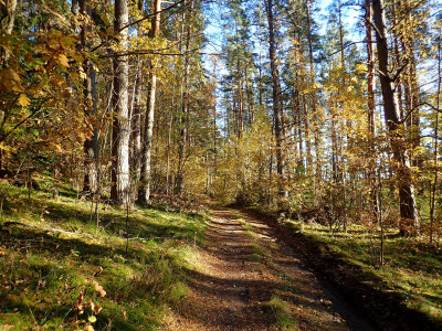 PA1202710.jpg