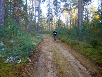 PA1203060.jpg