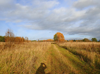 PA1703230.jpg