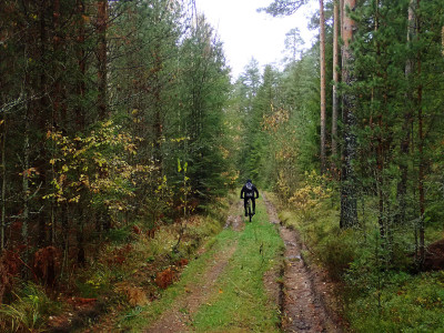 PA1700480.jpg