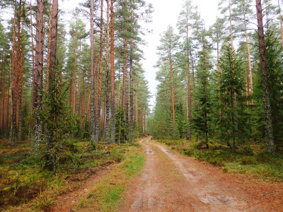 PA1700610.jpg