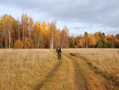 PA1703130.jpg