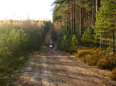 PA2403390.jpg