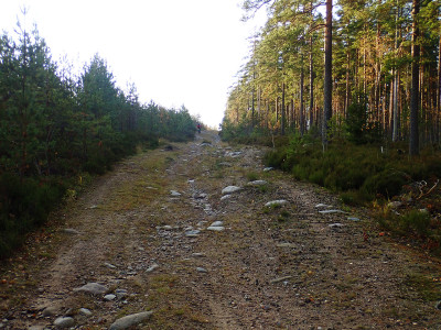 PA2403410.jpg