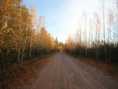 PA2403490.jpg
