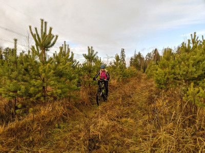 PXL_20241117_075307517_1.jpg