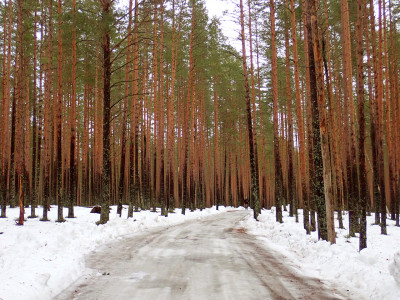 P20104100.jpg