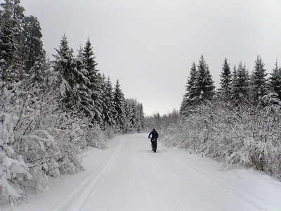 P20900690.jpg