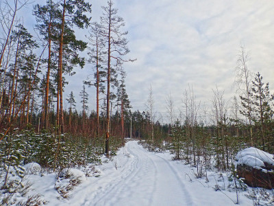 P21701720.jpg