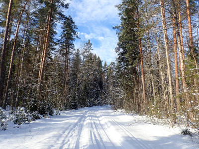 P22100800.jpg