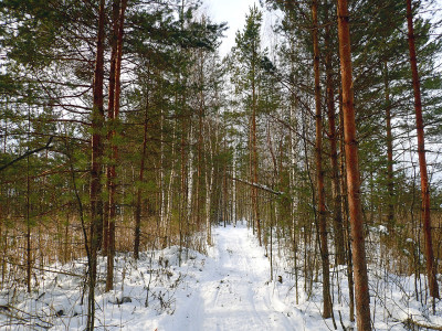 P22501880.jpg
