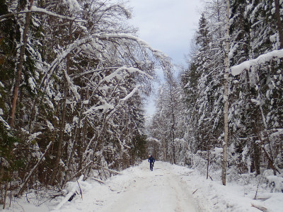 P22500570.jpg