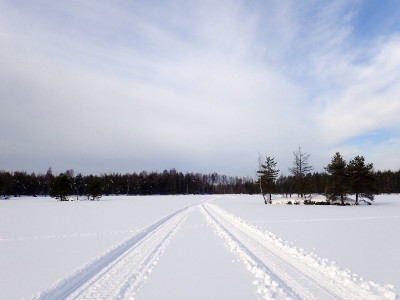 P22501740.jpg